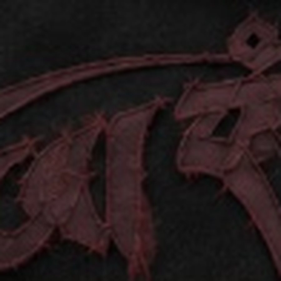 Appliqué detail on the Script Hoodie